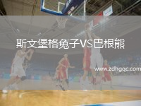 斯文堡格兔子VS巴根熊