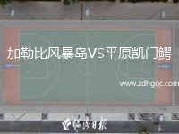 加勒比風(fēng)暴島VS平原凱門(mén)鱷