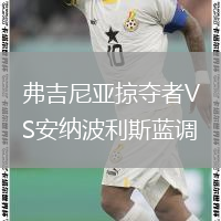 弗吉尼亞掠奪者VS安納波利斯藍調