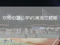坎特伯雷公羊VS奧克蘭鱷蜥