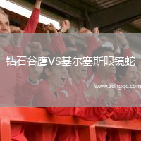 鉆石谷鷹VS基爾塞斯眼鏡蛇