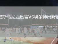 塔斯馬尼亞迅雷VS埃爾特姆野貓