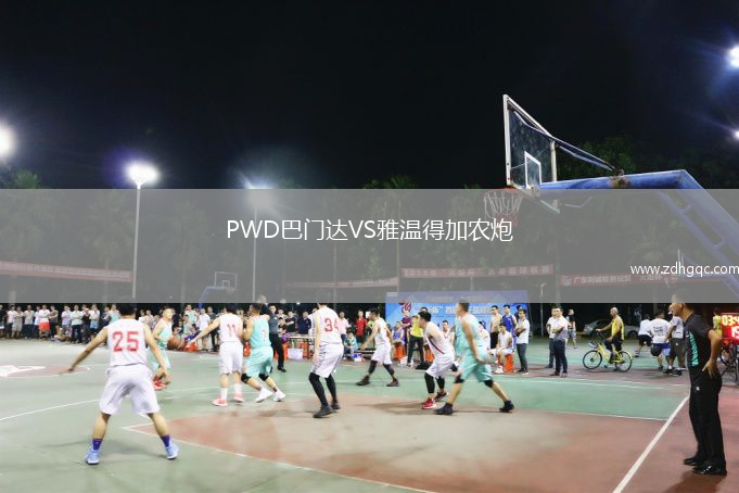 PWD巴門(mén)達VS雅溫得加農炮