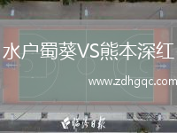 水戶(hù)蜀葵VS熊本深紅