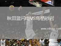 秋田藍閃電VS鳥(niǎo)棲砂巖
