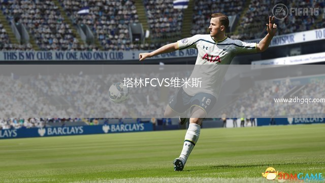 塔林FCVS維米斯