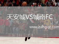 天安城VS城南FC