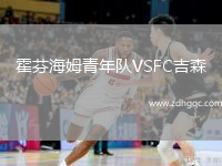 霍芬海姆青年隊VSFC吉森