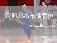 尼斯比VS布隆索伊