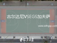 古爾達尼VSEGS加夫薩