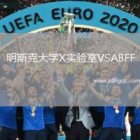 明斯克大學(xué)X實(shí)驗室VSABFF(U19)