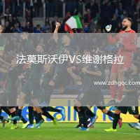 法莫斯沃伊VS維謝格拉