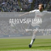 茲拉VS薩巴赫