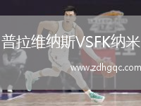 普拉維納斯VSFK納米