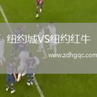 紐約城VS紐約紅牛