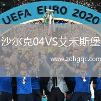 沙爾克04VS艾禾斯堡