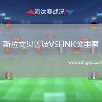 斯拉文貝魯波VSHNK戈里察