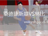 桑德捷斯基VS林比