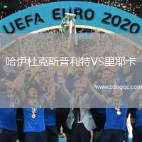 哈伊杜克斯普利特VS里耶卡