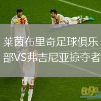 萊茵布里奇足球俱樂(lè )部VS弗吉尼亞掠奪者