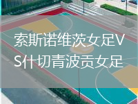 索斯諾維茨女足VS什切青波貢女足