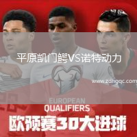 平原凱門(mén)鱷VS諾特動(dòng)力