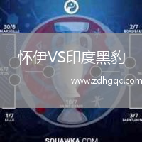 懷伊VS印度黑豹