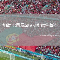 加勒比風(fēng)暴島VS博戈塔海盜