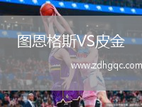 圖恩格斯VS皮金