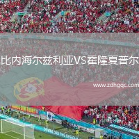 比內海爾茲利亞VS霍隆夏普爾