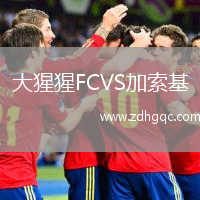 大猩猩FCVS加索基
