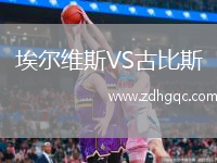 埃爾維斯VS古比斯