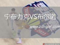 寧布力克VS布爾諾