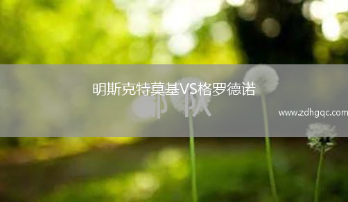 明斯克特莫基VS格羅德諾