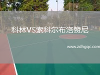 科林VS索科爾布洛贊尼