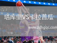 塔庫里VS卡拉普瓜