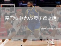 霍巴特電光VS靈伍德老鷹