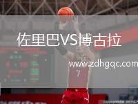 佐里巴VS博古拉