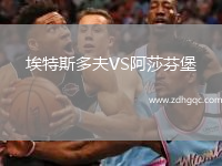 埃特斯多夫VS阿莎芬堡