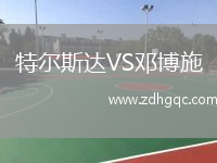 特爾斯達VS鄧博施