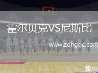 霍爾貝克VS尼斯比