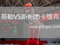 蒂勒VS斯帕杰卡維克