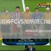 雨神FCVS加納港口城