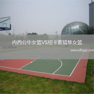 內西公牛女籃VS紐卡素獵隼女籃