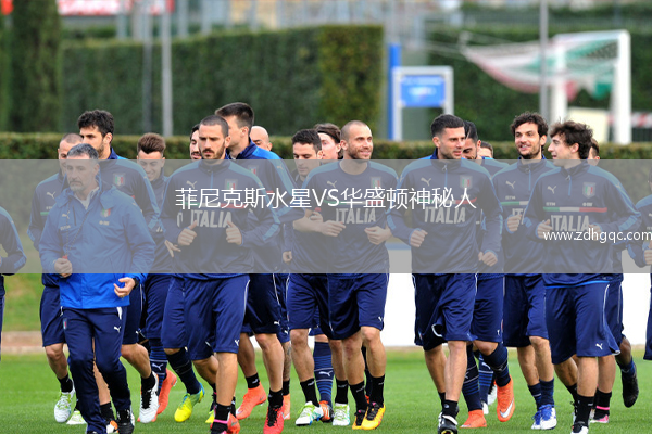 菲尼克斯水星VS華盛頓神秘人