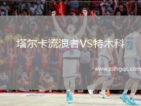 塔爾卡流浪者VS特木科
