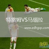 特雷姆VS馬瑙拉