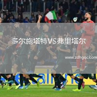 多爾施塔特VS弗里塔爾