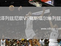 澤列茲尼察VS莫斯塔爾維列茲