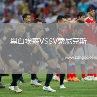 黑白埃森VSSV索尼克斯